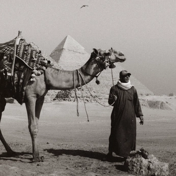 A cover of "pyramids" cluster. The owner is muhanned. The cluster consists of 9 elements.