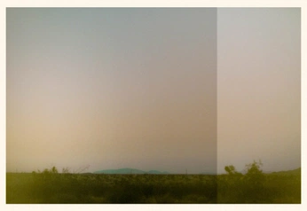 A cover of "wild horses" cluster. The owner is laneybear. The cluster consists of 4 elements.