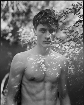 A cover of "For Studies" cluster. The owner is maggylu. The cluster consists of 37 elements.