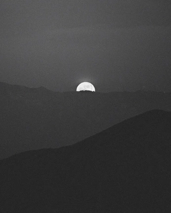 A cover of "Melodic Bliss" cluster. The owner is anthonyrajski. The cluster consists of 4 elements.