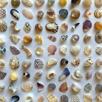 A cover of "Organising nature" cluster. The owner is antonia.ebner. The cluster consists of 2 elements.