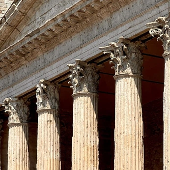 A cover of "history" cluster. The owner is moonparchment. The cluster description is "I want to be an archaeologist". The cluster consists of 29 elements.