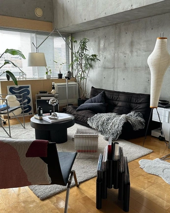 A cover of "L1v1N5" cluster. The owner is lecoxxx. The cluster consists of 5 elements.