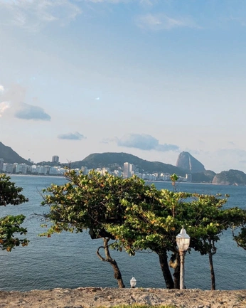 A cover of "Rio De Janeiro" cluster. The owner is la.depaula. The cluster consists of 25 elements.