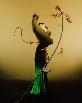 A cover of "photo" cluster. The owner is thomascristini. The cluster consists of 20 elements.