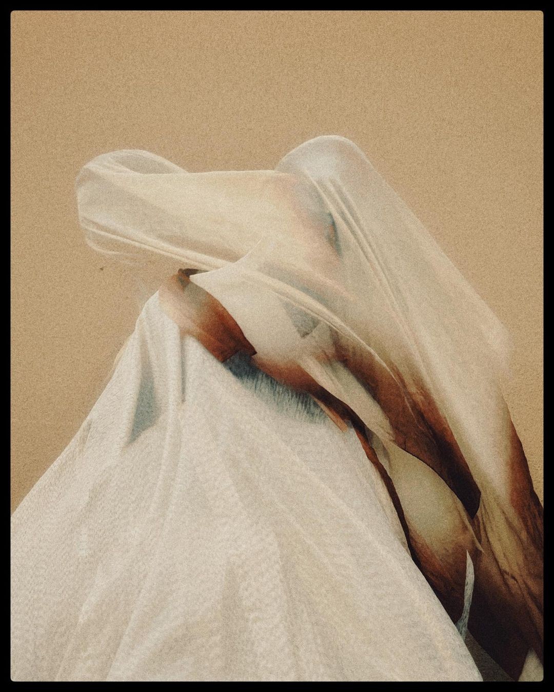 An Instagram  post added on Jan 23, 2024. The author is @wisdm. May present: shoulder, sleeve, plant, dress shirt, gesture.