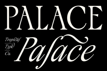 A cover of "Type" cluster. The owner is audreyfleur. The cluster consists of 13 elements.