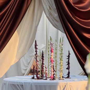 A cover of "Weddings & Events" cluster. The owner is myazliyeva. The cluster consists of 7 elements.