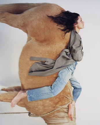 A cover of "Horses" cluster. The owner is josefinosis. The cluster consists of 10 elements.