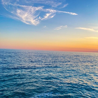 A cover of "come alive" cluster. The owner is thisisluke. The cluster description is "les joies de vie". The cluster consists of 57 elements.