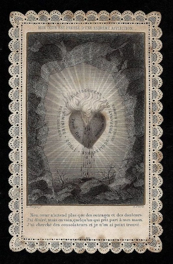 A cover of "Ephemera" cluster. The owner is millieamber. The cluster consists of 14 elements.