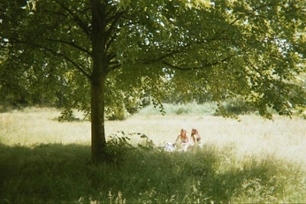 A cover of "wild" cluster. The owner is norah. The cluster consists of 15 elements.