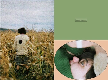 A cover of "Brands" cluster. The owner is tss.tai. The cluster consists of 13 elements.