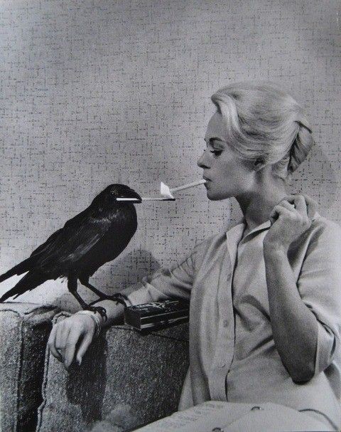 Bird with cigarette