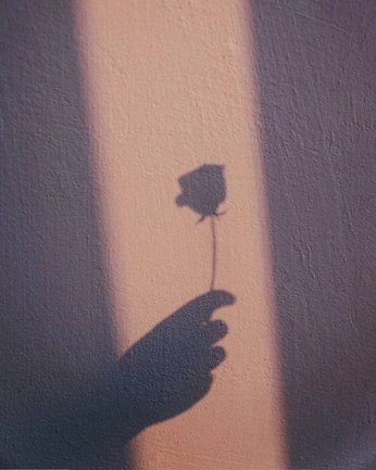 A cover of "Dark Realm" cluster. The owner is joel31. The cluster consists of 4 elements.