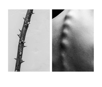 A cover of "Diptych" cluster. The owner is unstopapble. The cluster consists of 11 elements.