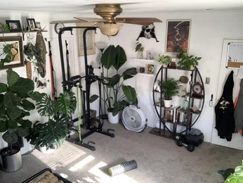 A cover of "House" cluster. The owner is onokami. The cluster consists of 4 elements.