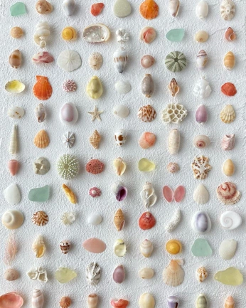 A cover of "boca" cluster. The owner is defink. The cluster consists of 38 elements.