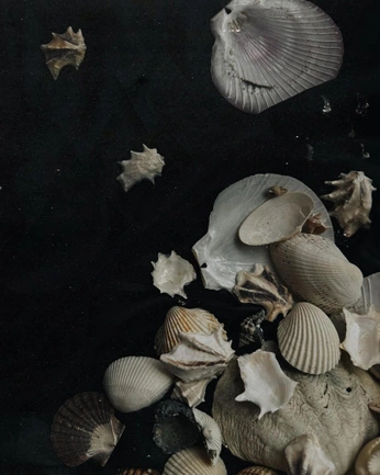 A cover of "Sea" cluster. The owner is vickys. The cluster consists of 110 elements.