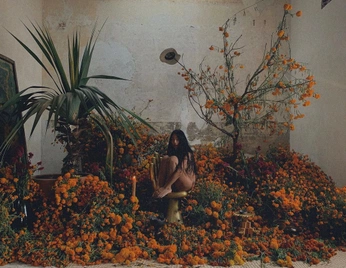 A cover of "MOOD 25" cluster. The owner is ancientcalling. The cluster consists of 7 elements.