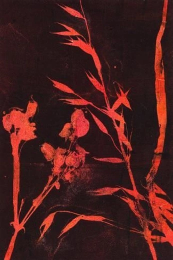 A cover of "conundrum" cluster. The owner is maddicasaiz. The cluster consists of 3 elements.