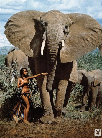 A cover of "Shirt" cluster. The owner is victorvieyra. The cluster consists of 2 elements.