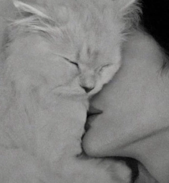 A cover of "Furry love" cluster. The owner is mon.moon. The cluster consists of 1 element.