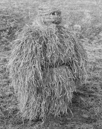 A cover of "Camouflage" cluster. The owner is wootxx. The cluster consists of 33 elements.