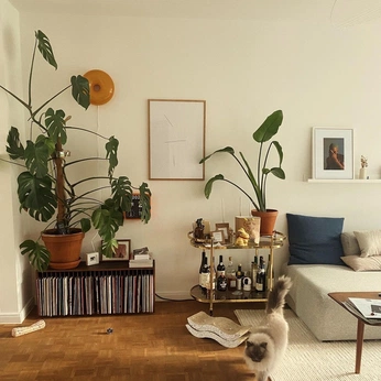 A cover of "Homes / Decor" cluster. The owner is trishughes. The cluster consists of 4 elements.