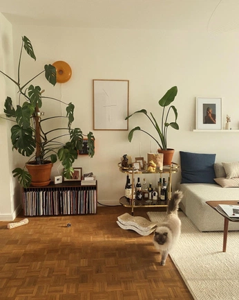 A cover of "Home spaces" cluster. The owner is samdimauro. The cluster consists of 4 elements.