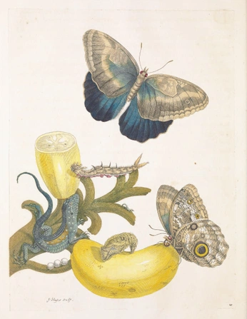 A cover of "Vintage" cluster. The owner is vazl4. The cluster consists of 31 elements.