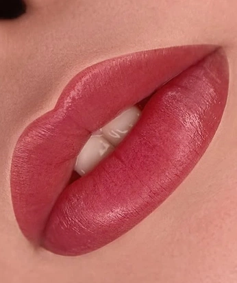 A cover of "Ets - PMU" cluster. The owner is nioryss. The cluster consists of 20 elements.