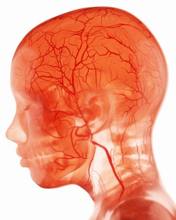 A cover of "MED_VIZZY" cluster. The owner is 5meomartian. The cluster consists of 2 elements.