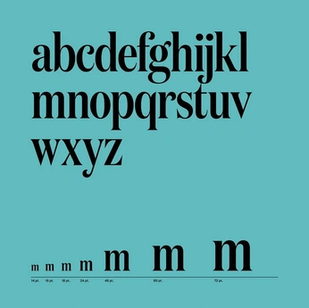 A cover of "Serif typeface inspo" cluster. The owner is artsycato. The cluster consists of 6 elements.