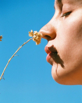 A cover of "Photos" cluster. The owner is daniel.mathias. The cluster consists of 118 elements.