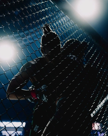 A cover of "UFC pt. 2" cluster. The owner is wwos3. The cluster consists of 1 element.