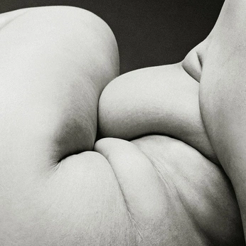 A cover of "Dans le nu" cluster. The owner is jointsbymicah. The cluster consists of 16 elements.