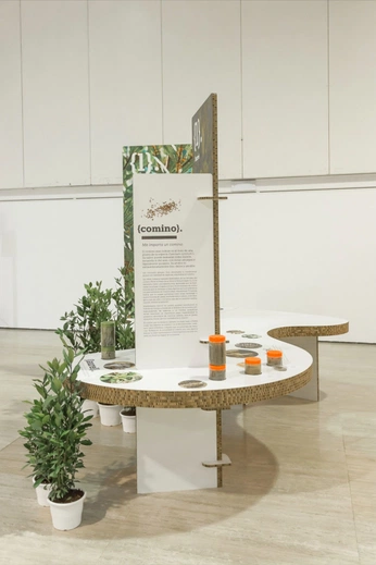 A cover of "TT" cluster. The owner is berrisvvi. The cluster consists of 2 elements.