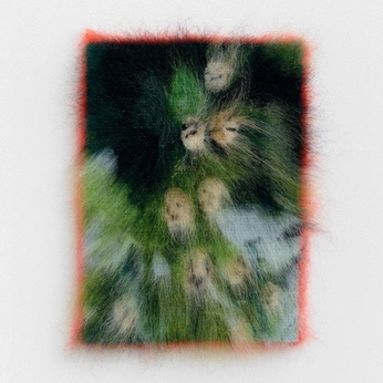 A cover of "Photo and image" cluster. The owner is diqsi. The cluster consists of 106 elements.