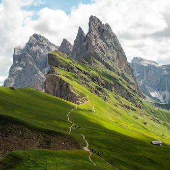 A cover of "Nature" cluster. The owner is abbyhue. The cluster consists of 32 elements.