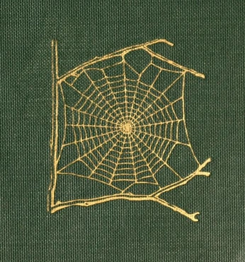 A cover of "Graphi Inspo" cluster. The owner is travischampagne. The cluster consists of 3 elements.