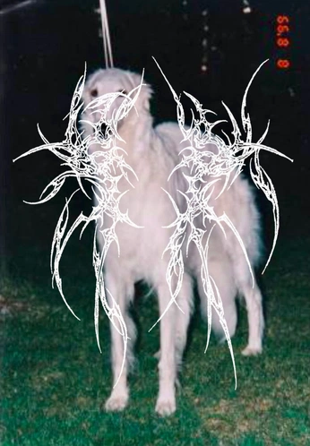 A cover of "Imagen (图像)" cluster. The owner is fffffrchoo. The cluster consists of 32 elements.