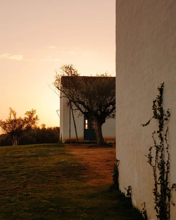 A cover of "Earth" cluster. The owner is hwill. The cluster consists of 1 element.