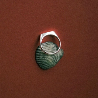 A cover of "💍" cluster. The owner is michiel. The cluster consists of 51 elements.