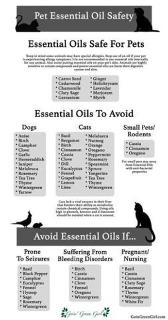 A cover of "Animal Care" cluster. The owner is pur0land. The cluster consists of 20 elements.