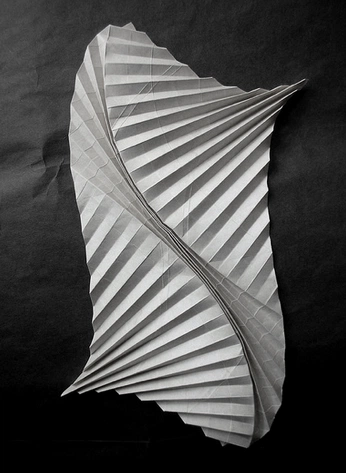 A cover of "Capsule collection" cluster. The owner is serena113. The cluster consists of 3 elements.