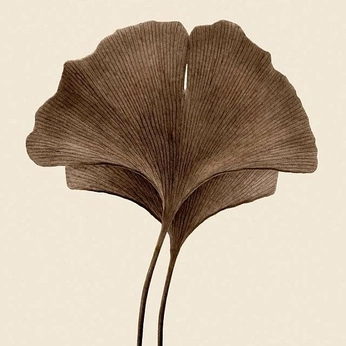 A cover of "Art" cluster. The owner is eswan. The cluster consists of 25 elements.