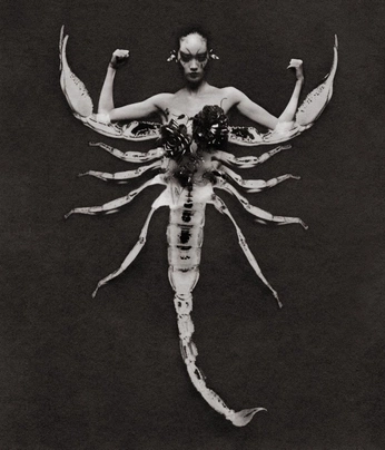 A cover of "Scorpio" cluster. The owner is rubyhana. The cluster consists of 45 elements.