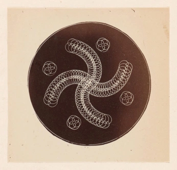 A cover of "geometry" cluster. The owner is bleck. The cluster consists of 23 elements.