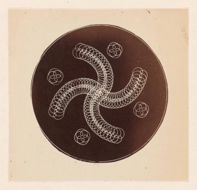 An image added by cosmos on Jul 10, 2024. May present: motif.